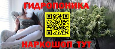 индика Канаш