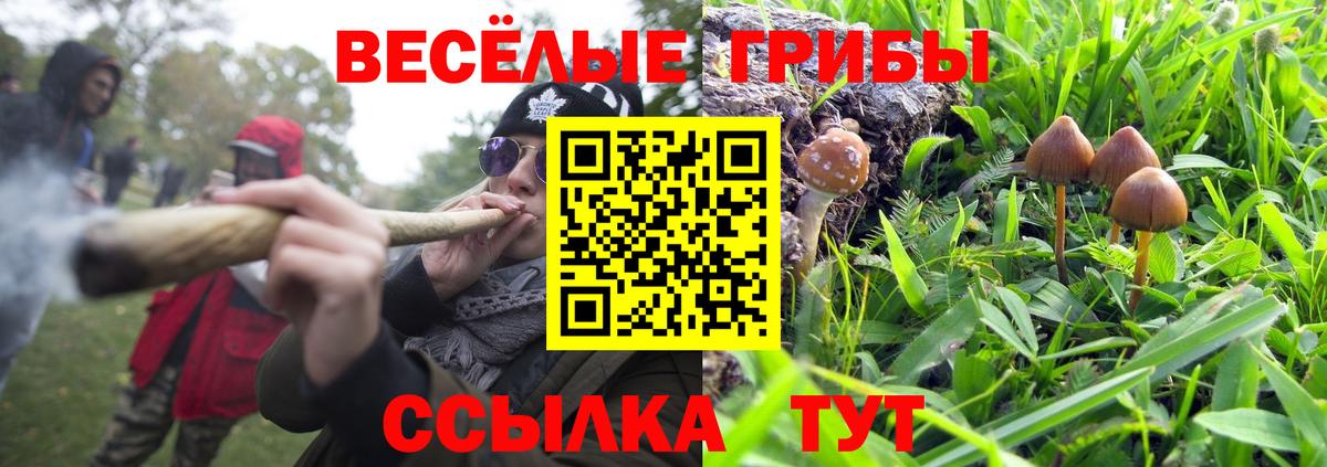 Галлюциногенные грибы Cubensis Лесной
