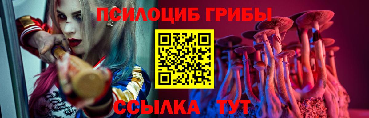 Лесной  наркота  Вход с VPN  Псилоцибиновые грибы MAGIC MUSHROOMS 
