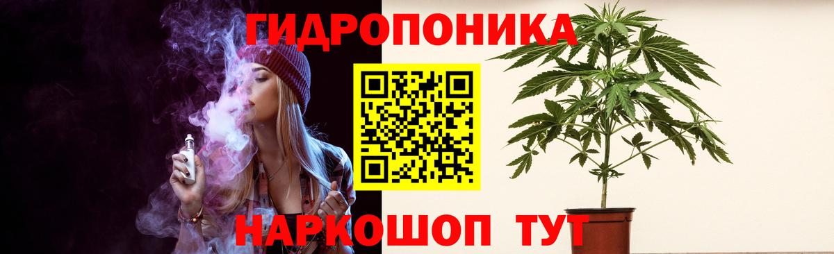 Шишки марихуана Bruce Banner Лесной
